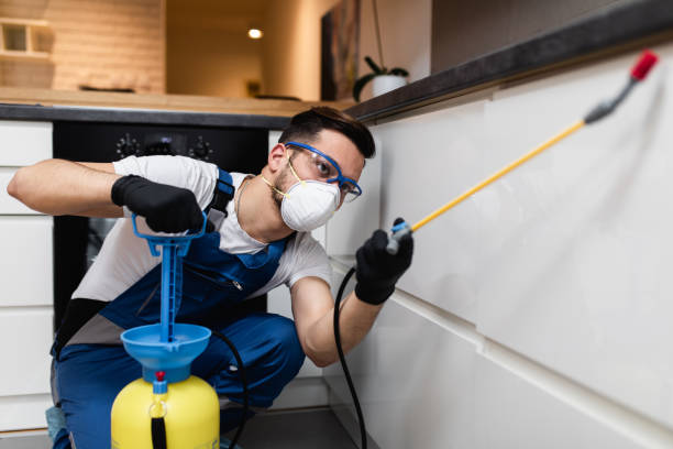 Best Pest Removal Services  in Elmwood, IL