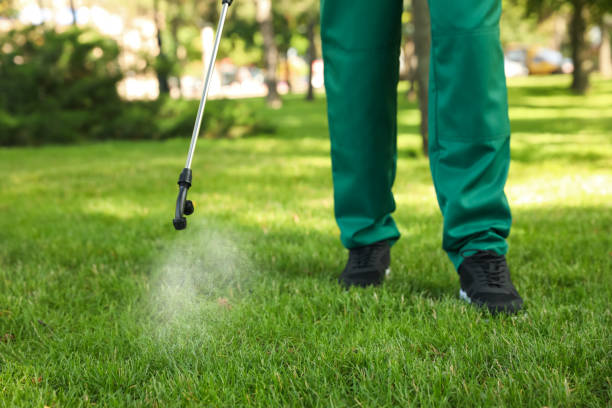 Best Pest Inspection Near Me  in Elmwood, IL
