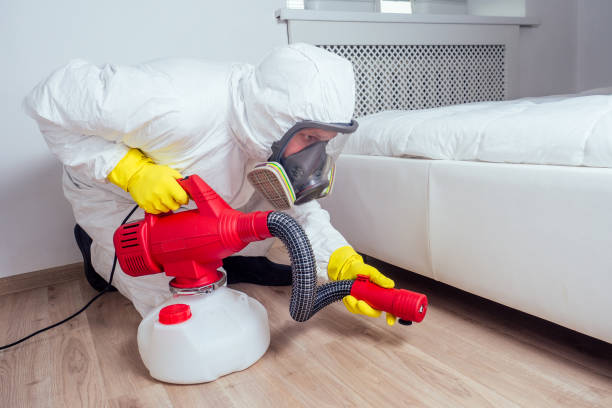 Best Flea Control Services  in Elmwood, IL
