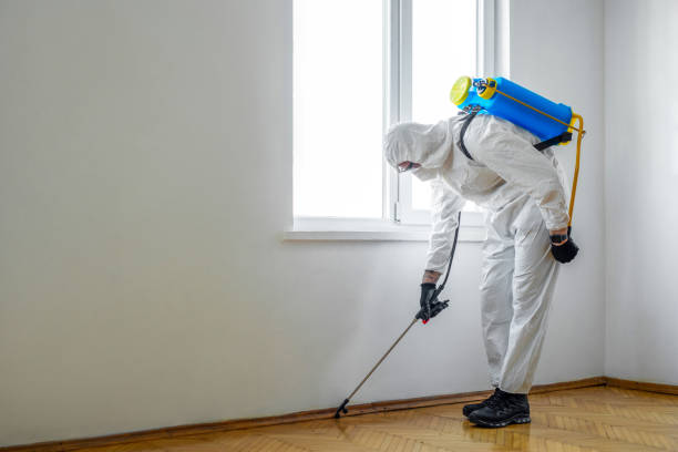 Best Termite Control Services  in Elmwood, IL