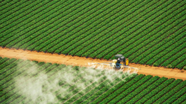 Pest Control Cost in Elmwood, IL