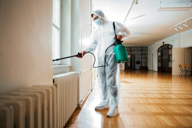Professional Pest Control in Elmwood, IL
